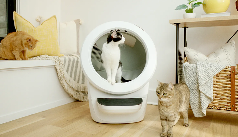 Best Automatic Litter box for Multiple Cats