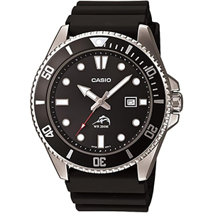 Casio Dive Style Watch
