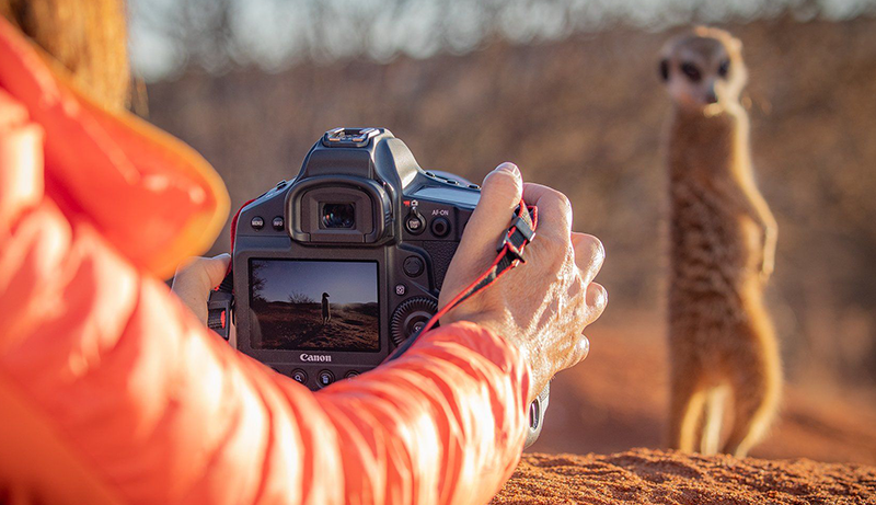 Best Cameras For Dance Photography of 2024