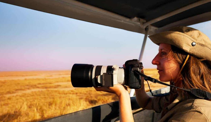 Best Cameras For Safari